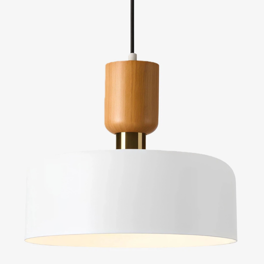 Close-up of the pendant stem and shade