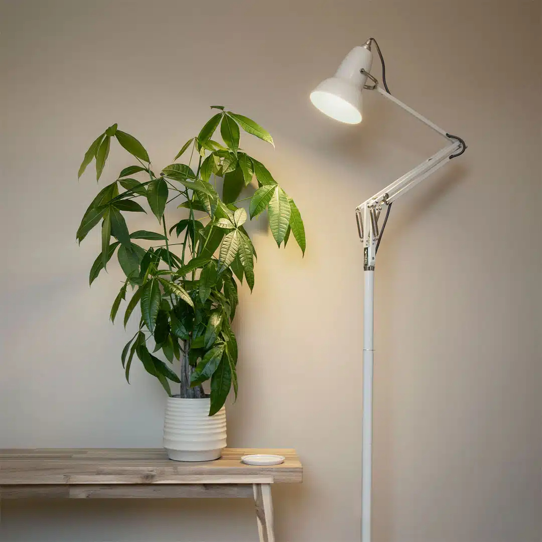 White floor lamp beside plant