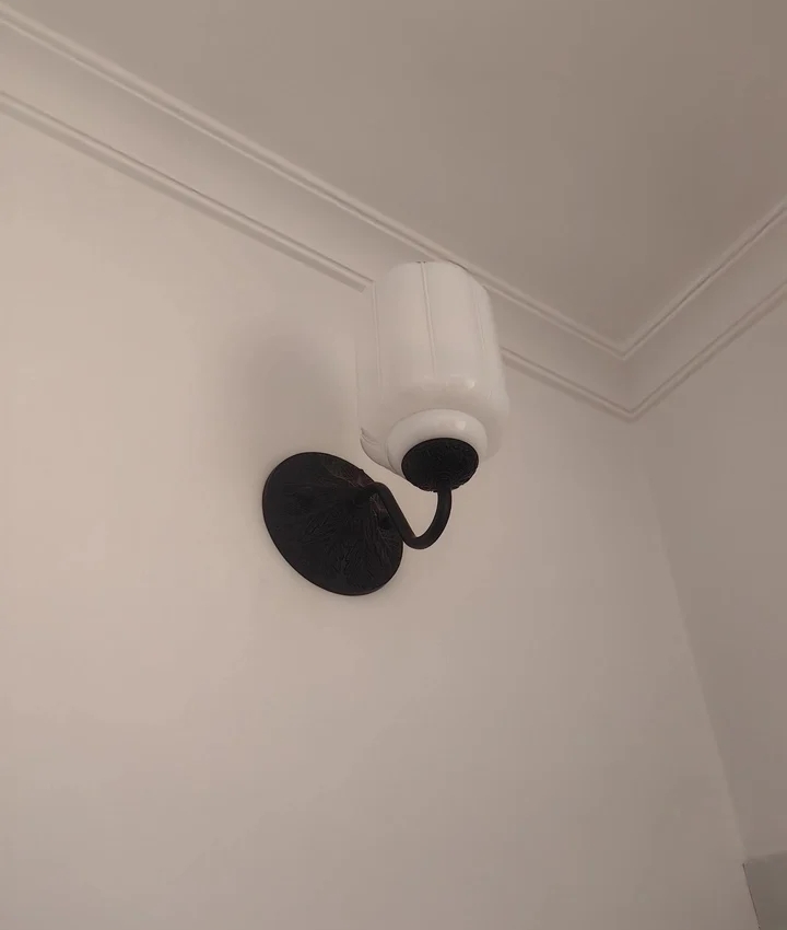 Review Image 2