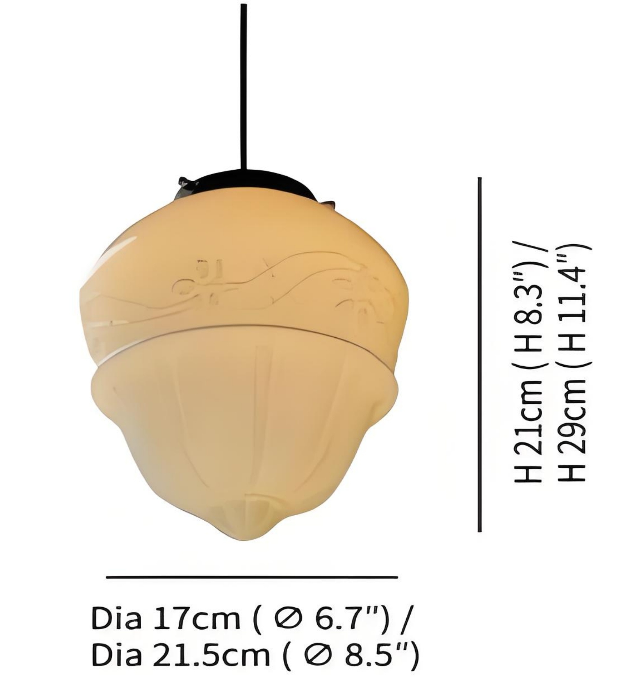 Model B product size