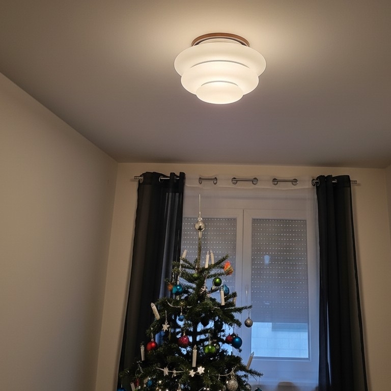 Real customer photo of Cirren ceiling light in room