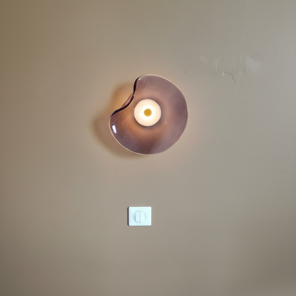 Real customer photo of a Lunacrest wall light and switch