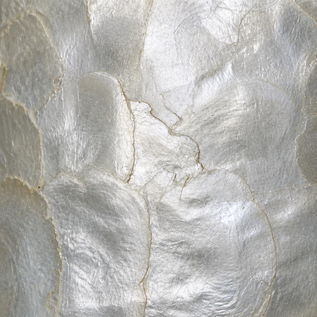 Natural mica and shell surface detail