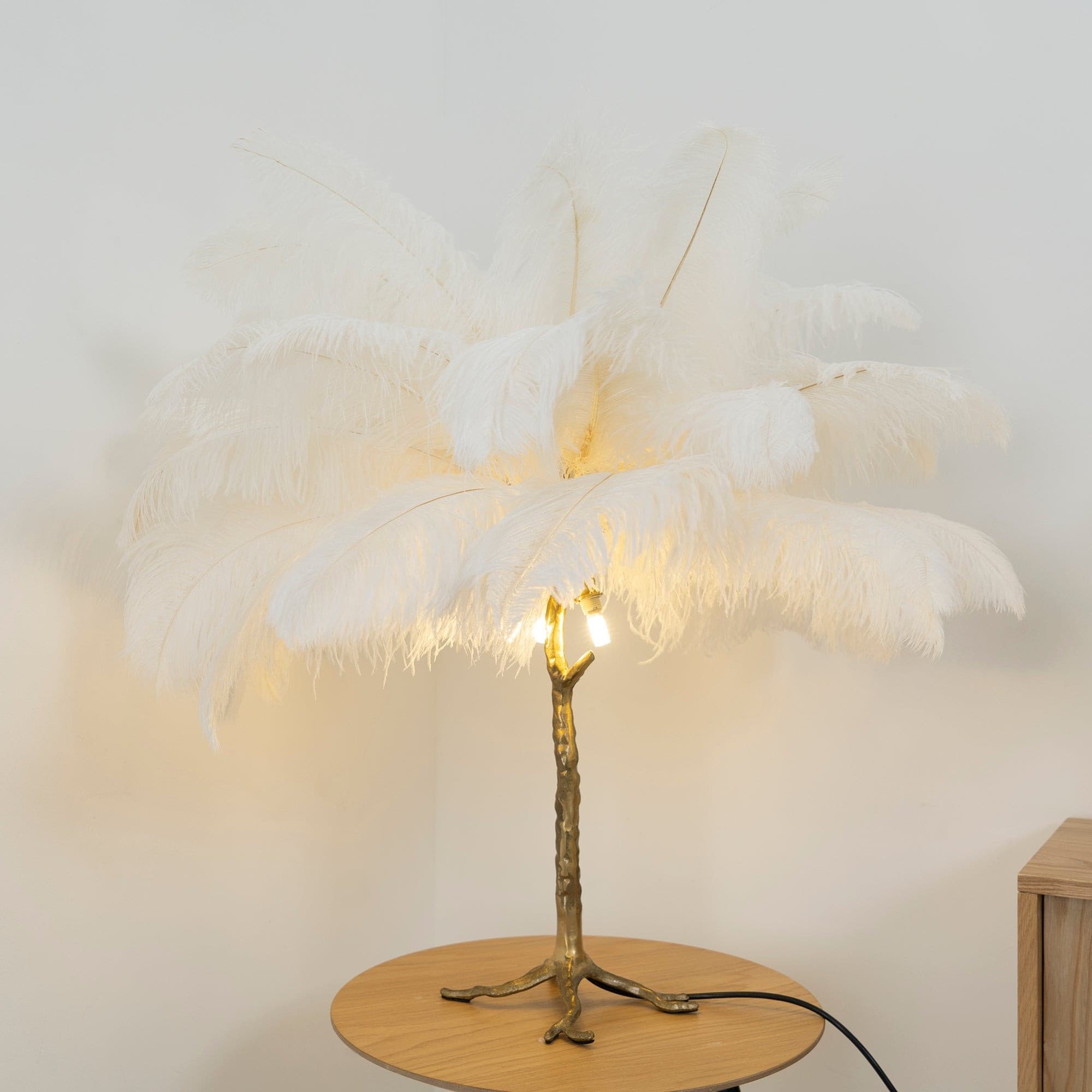 特別価格Hzacye Feather Lamp, Natural Ostrich Feather Floor Lamp for Living Room, 63in Height, 3 Color Temperatures Bright LED Bulbs, Modern Fu並行輸入 Ostrich Feather Table Lamp - Ostrich Feather Table Lamp - Mooielight